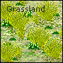 Grassland.png