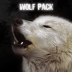 Wolf-Pack(medium+white).gif