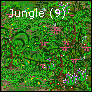Jungle 9.png