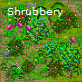 Shrubbery.png